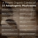 power-15-mushroom-blend-powder-supplemen-2.jpg