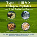 innate-vitality-collagen-peptides-for-wo-3.jpg