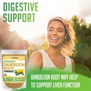 xprs-nutra-organic-dandelion-root-powder-2.jpg