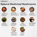 10-mushroom-premium-complex-supplement-l-4.jpg
