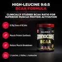 allmax-aminocore-bcaa-powder-for-workout-2.jpg