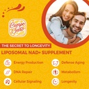 2000-mg-nad-supplement-liposomal-nad-wit-6.jpg
