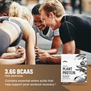 levels-organic-plant-protein-20g-of-prot-4.jpg
