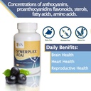 synerplex-acai-capsules-all-natural-supe-6.jpg