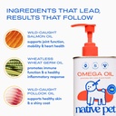 native-pet-omega-oil-for-dogs-16-oz-fish-4.jpg