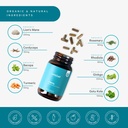 lyfefuel-nootropic-mushroom-supplement-f-4.jpg