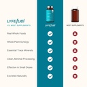 lyfefuel-nootropic-mushroom-supplement-f-6.jpg