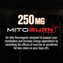 jacked-factory-burn-xt-clinically-studie-5.jpg