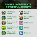 2-month-liver-gut-health-bundle-15-billi-4.jpg