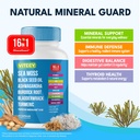 viteey-sea-moss-capsules-with-black-seed-2.jpg