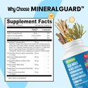 viteey-sea-moss-capsules-with-black-seed-3.jpg
