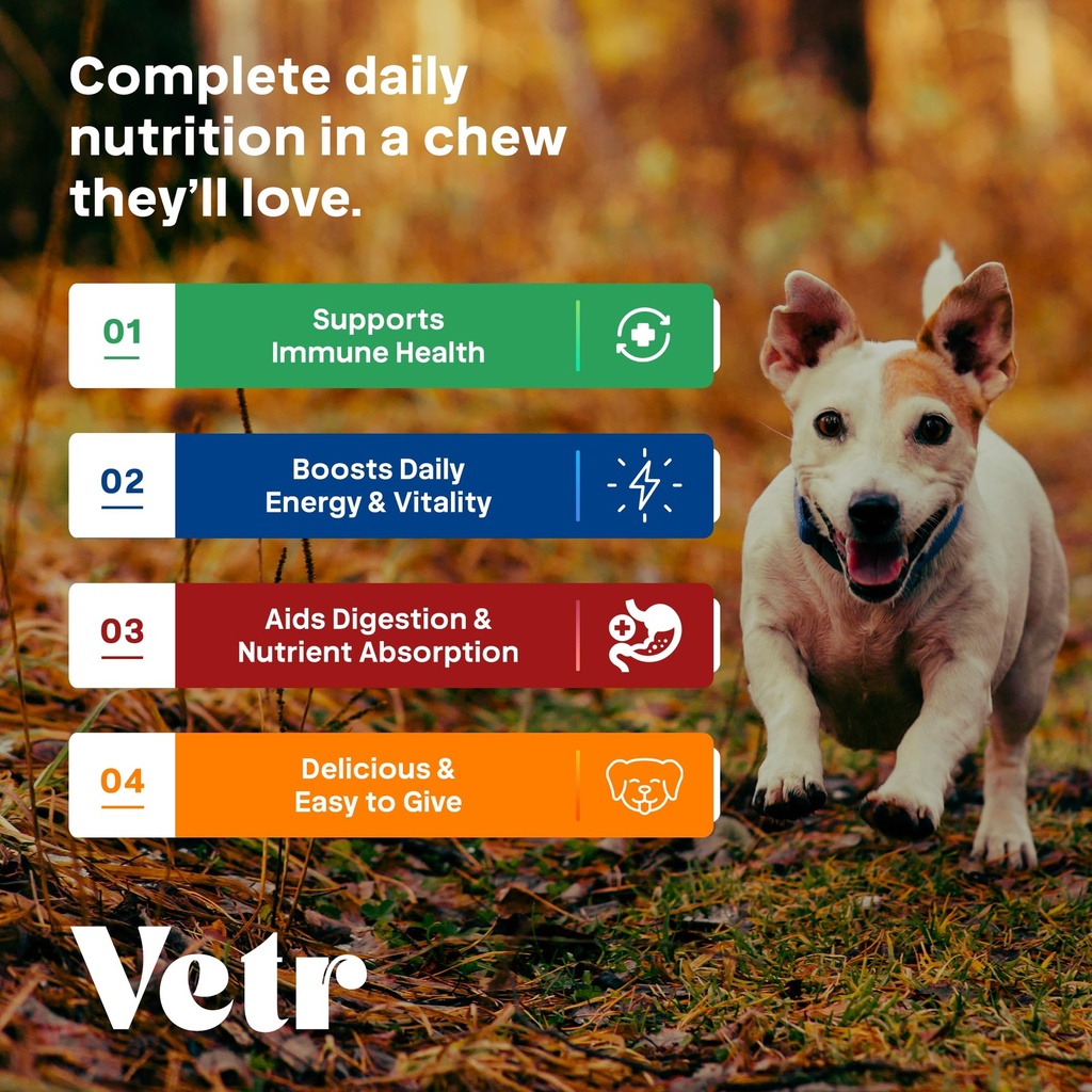 vetr-dog-multivitamin-treats-60-chews-ch-4.jpg
