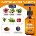 antibiotics-for-cats-in-drops-at-respira-2.jpg