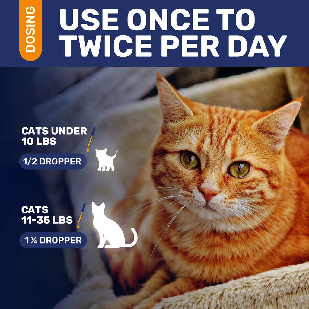 antibiotics-for-cats-in-drops-at-respira-5.jpg