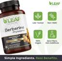 bleaf-nature-berberine-phytosome-120-cap-3.jpg