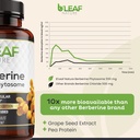 bleaf-nature-berberine-phytosome-120-cap-5.jpg