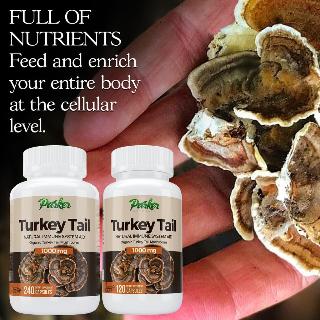 parker-naturals-turkey-tail-mushroom-cap-2.jpg