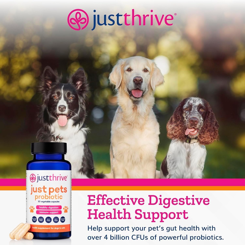 just-thrive-just-pets-probiotic---daily--4.jpg