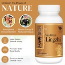 vita-green-reishi-mushroom-lingzhi-yin-y-2.jpg
