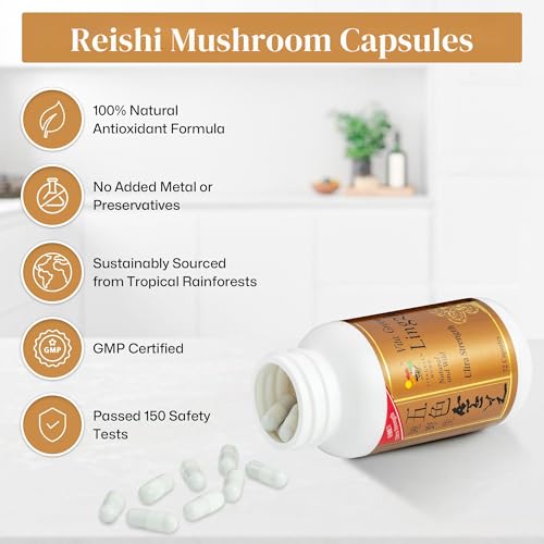 vita-green-reishi-mushroom-lingzhi-yin-y-4.jpg