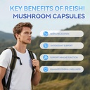 reishi-mushroom-capsules-vegan-gluten-fr-3.jpg