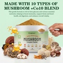 organic-turkey-tail-mushroom-supplement--2.jpg