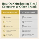 global-healing-organic-mushroom-powder-s-5.jpg