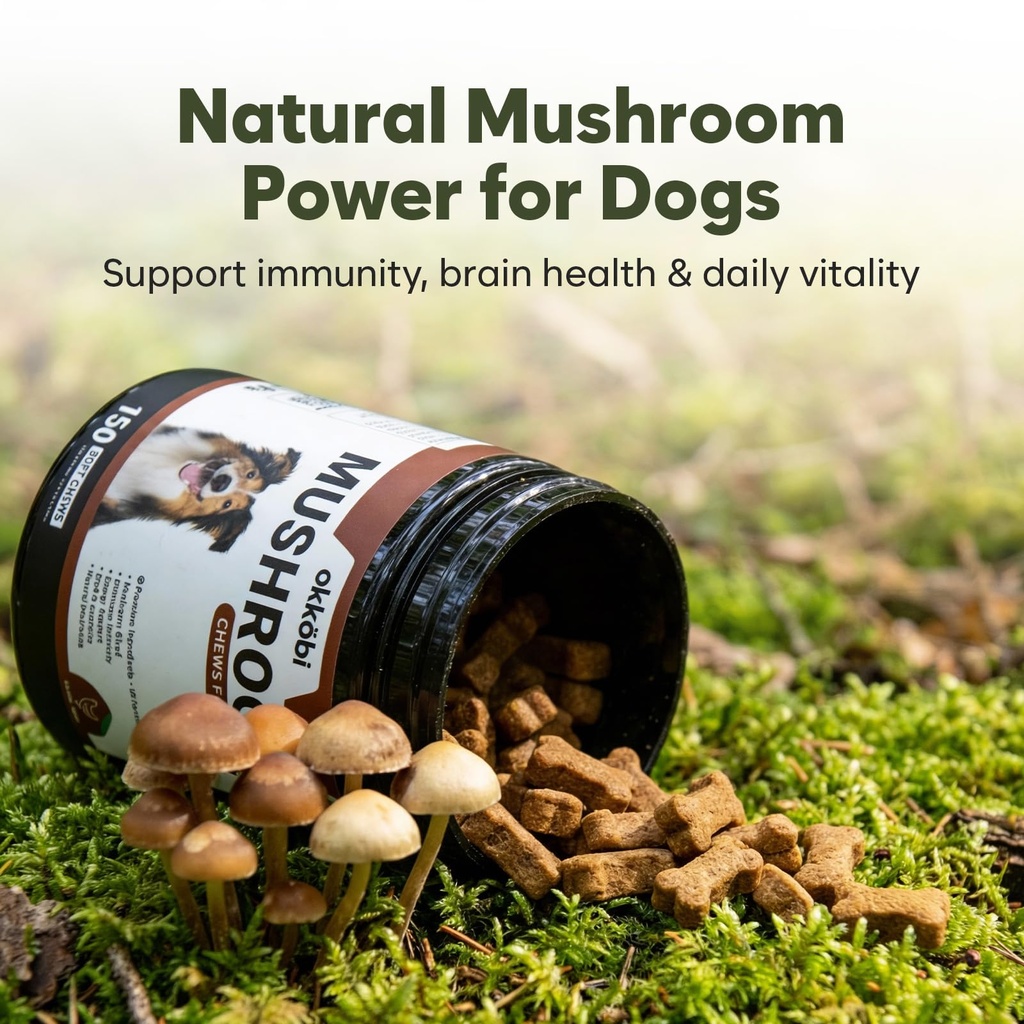 turkey-tail-mushroom-for-dogs-150-soft-c-2.jpg