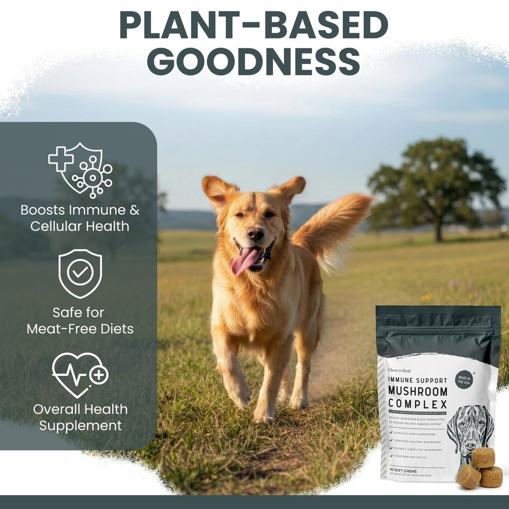 mushroom-supplement-for-dogs-with-organi-3.jpg
