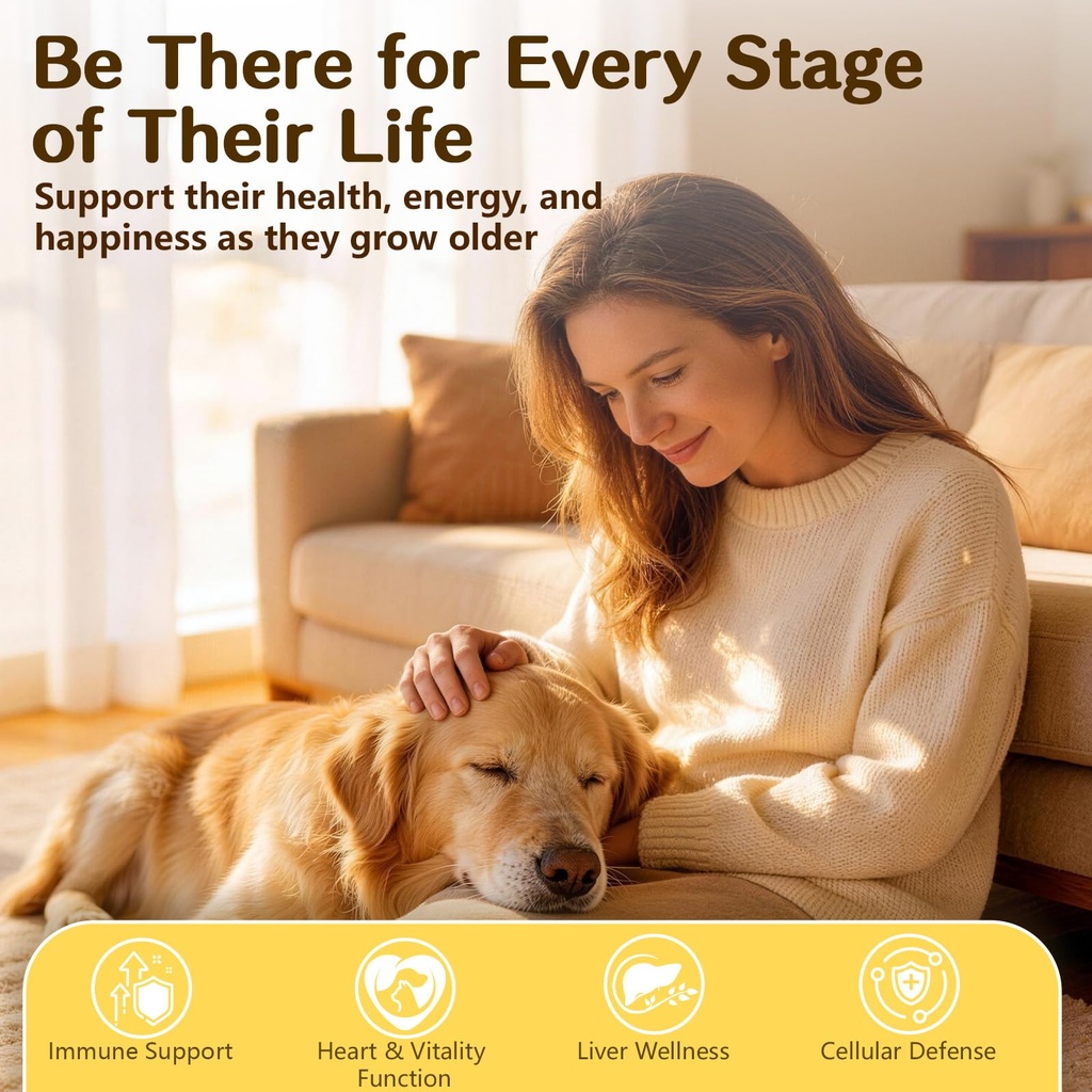 vun-turkey-tail-mushroom-for-dogs-mushro-5.jpg