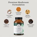 daily-immunity-lion-s-mane-mushroom-comp-5.jpg
