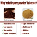 red-reishi-mushroom-powder-spore-powder--3.jpg