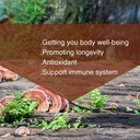 red-reishi-mushroom-powder-spore-powder--4.jpg