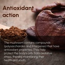 reishi-mushroom-powder-8-oz-to-support-t-3.jpg