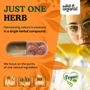 wild-organic-reishi-mushroom-capsules-10-5.jpg