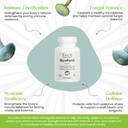 ever-immune-strength-pack-multi-mushroom-6.jpg