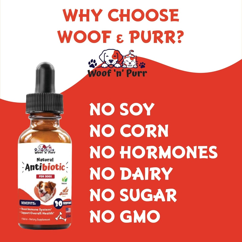 dog-antibiotics-for-infection-coughs-uti-6.jpg