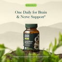 gaia-herbs-lion-s-mane-mushroom-brain-he-3.jpg