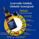 shilajit-drops-for-energy-stamina-immune-3.jpg
