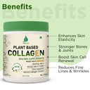 vedapure-plant-collagen-peptides-powder--4.jpg