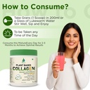 vedapure-plant-collagen-peptides-powder--6.jpg