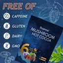 mushroom-hot-cocoa-with-melatonin-reishi-6.jpg