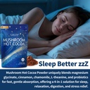 mushroom-hot-cocoa-reishi-l-theanine-ada-5.jpg