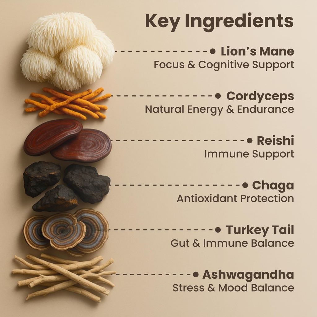 mushroom-cocoa-functional-hot-cocoa-for--5.jpg