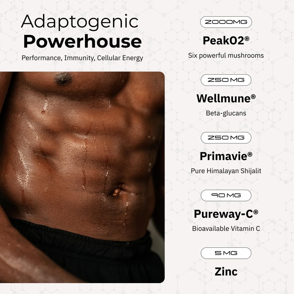 arc-resilience-mushroom-powder-boost-foc-2.jpg