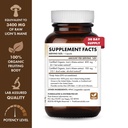 pure-essence-labs-mypure-lion-s-mane-4x--2.jpg