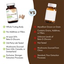pure-essence-labs-mypure-lion-s-mane-4x--5.jpg