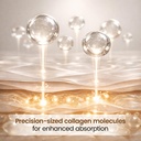 elixir-silk-face-collagen-lum-collagen-p-4.jpg