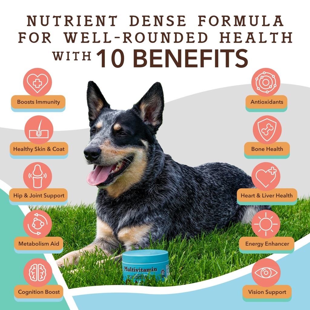 natural-dog-company-everyday-itch-relief-5.jpg