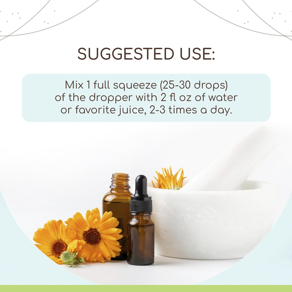 herbera-dandelion-root-b120-alcohol-free-2.jpg